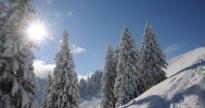 131127 Skitour rosskopf sonnig 0036
