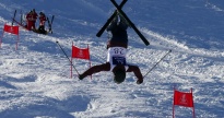 Backflip Wagner Felix f