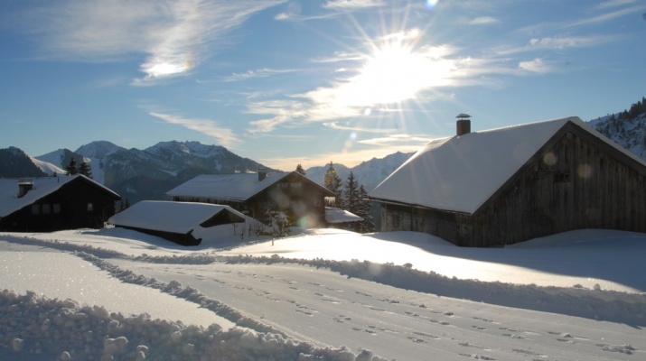 110129 Avocado Skirennen Firstalm 0048 s1024