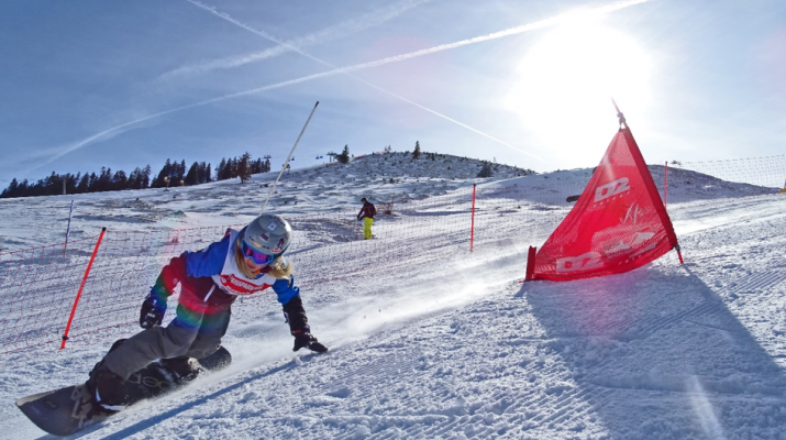 Bild1